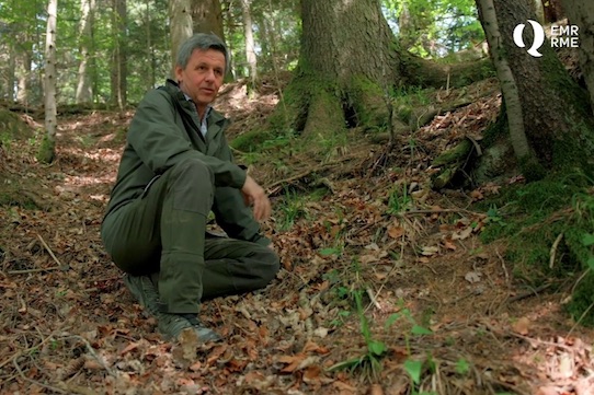 Film aus dem Wald mit Theo Weber